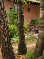/album/le-jardin/jardin4-jpg/