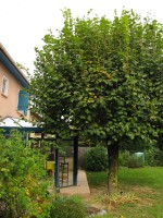 /album/le-jardin/jardin3-jpg/