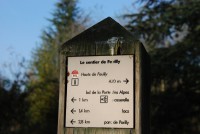 /album/galerie-de-photos-autour-de-la-maison/feuilly1-jpg/